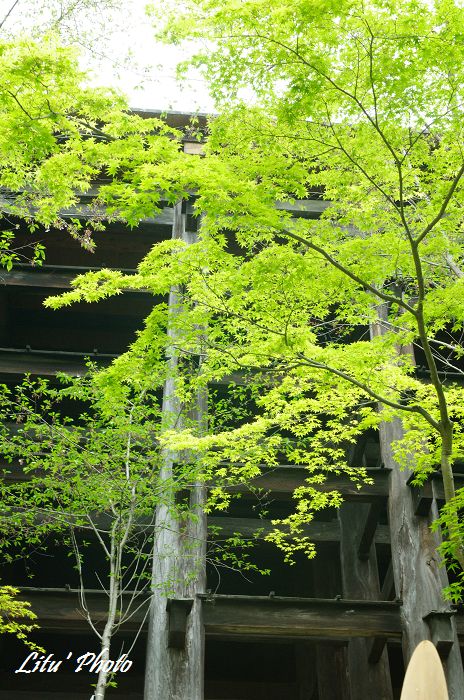 DSC_9502.jpg