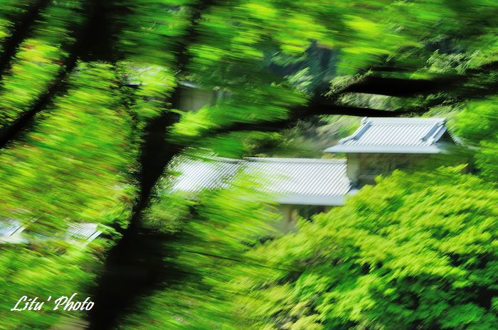 DSC_9888.jpg