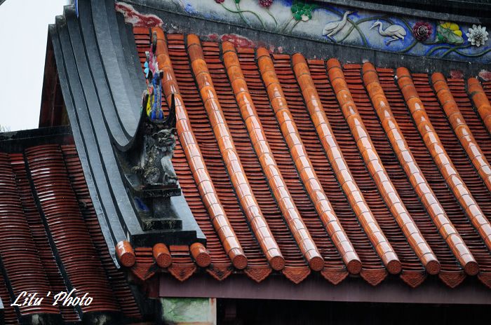 DSC_7336.jpg