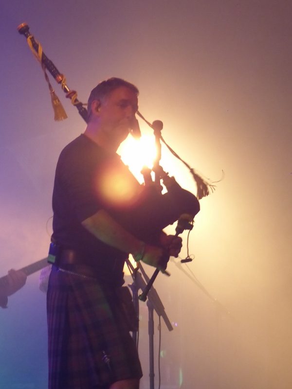 Peatbog Faeries