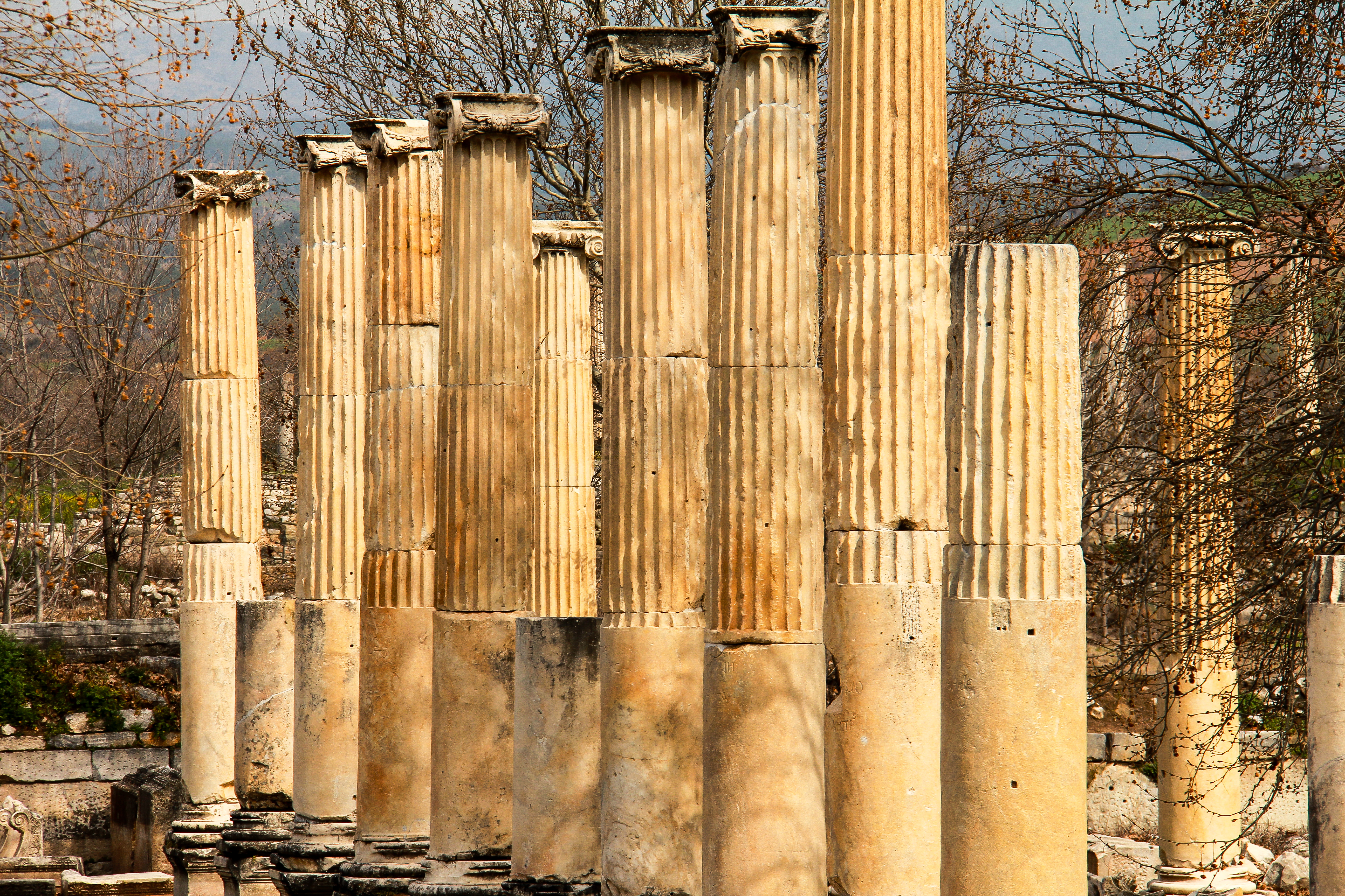 Row of pillars Aphrodisias.jpg