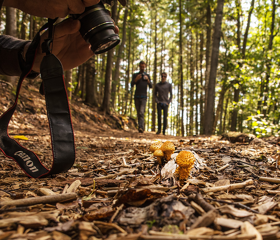 Nate, Max & Mushrooms