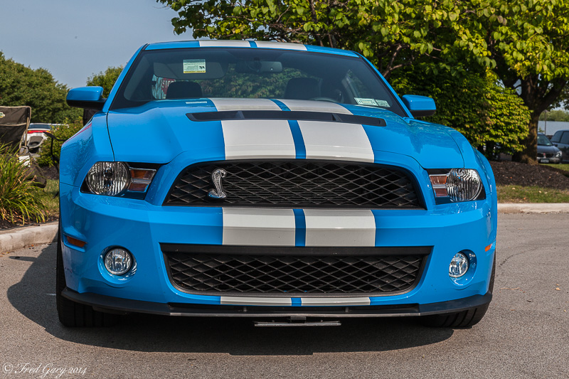 2010 Shelby Mustang-5658.jpg