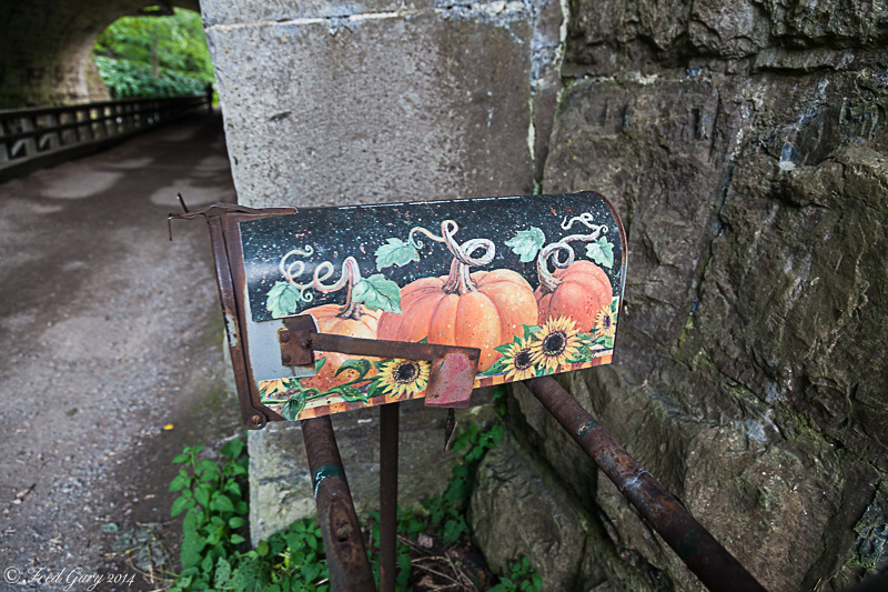 Pumpkin mail-5773.jpg