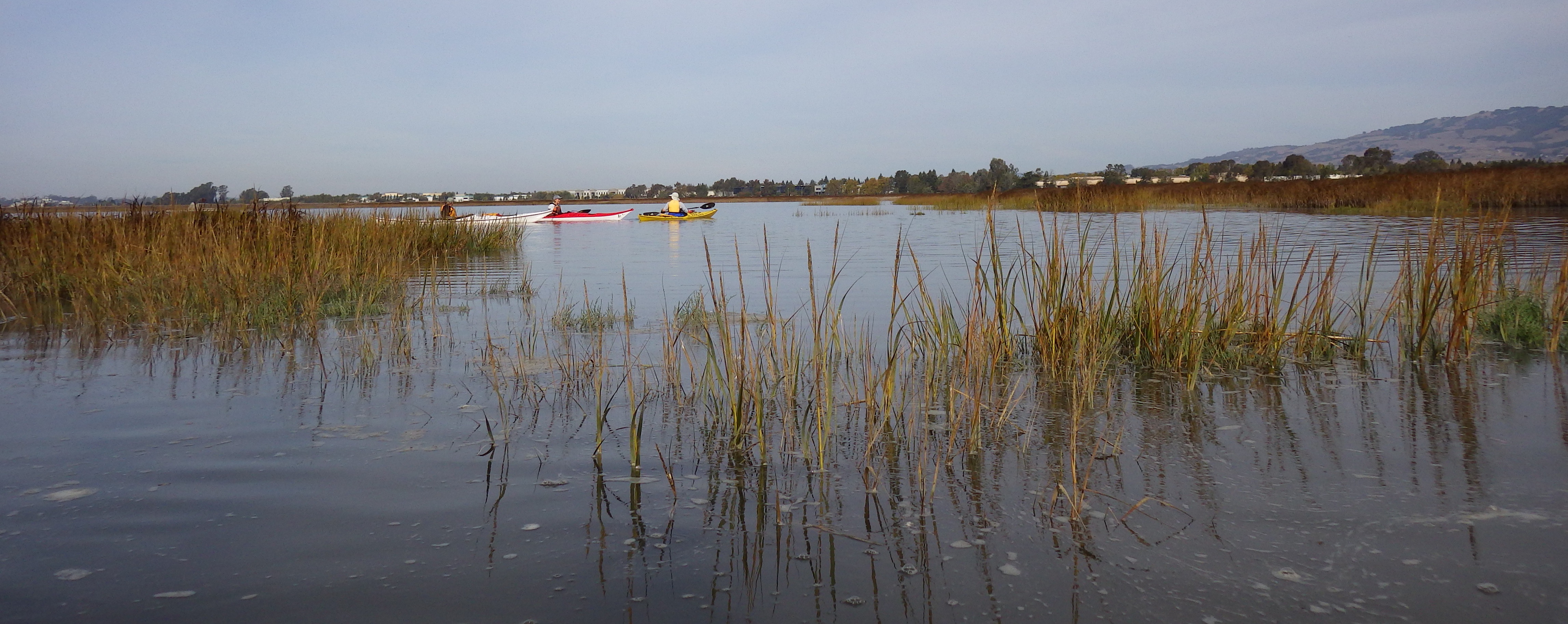 Heading into the wetlands 013 - V2.jpg