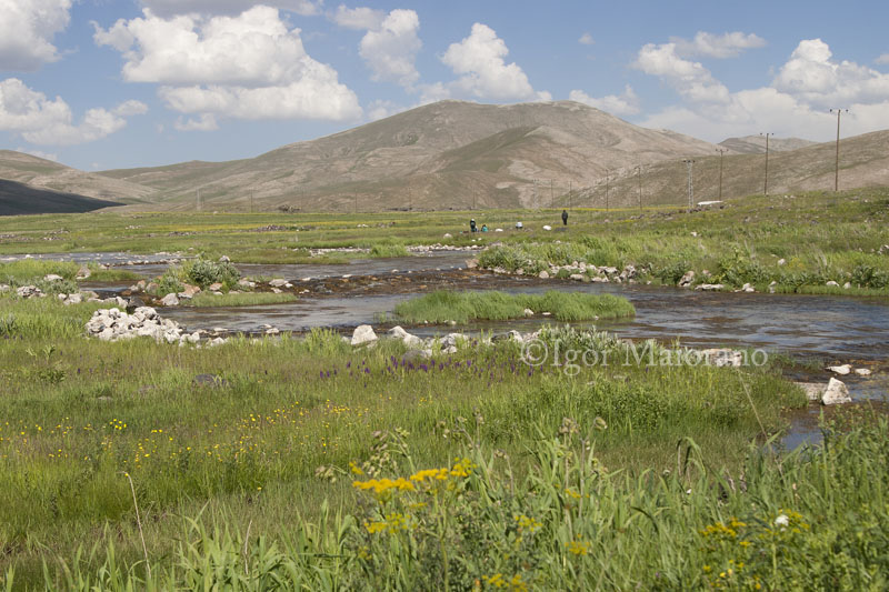 Around Caldiran 