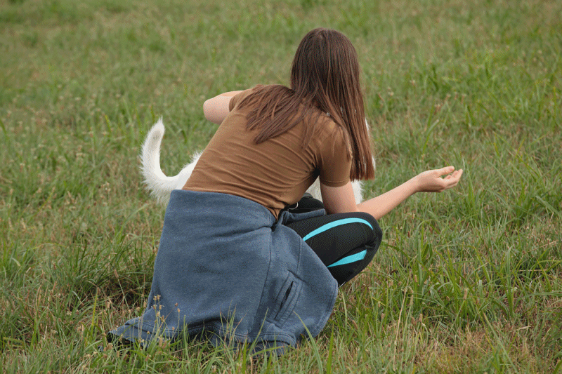 meets without the leash (anigif.gif)