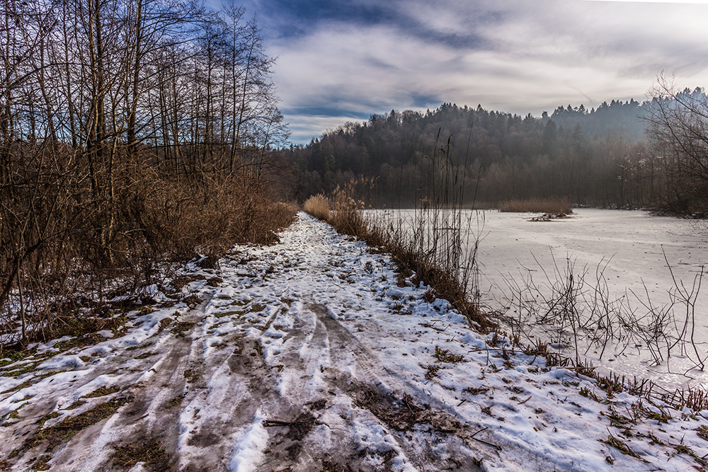 winter on the pond - zima na ribniku (_MG_2520ok.jpg)