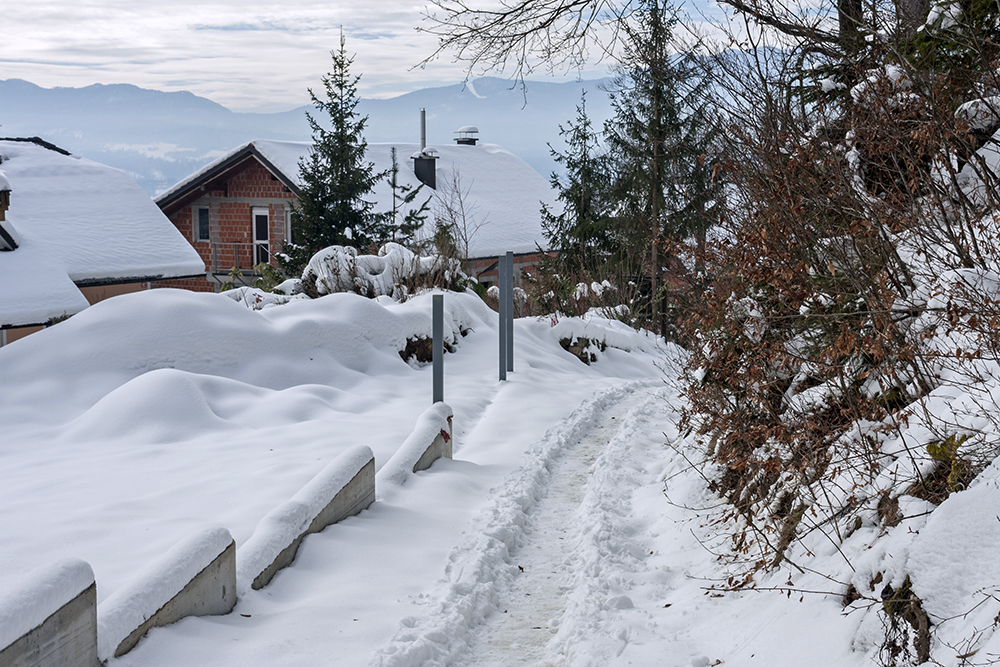 path in the snow (_MG_8615ok.jpg)
