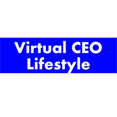 The Virtual CEO Review