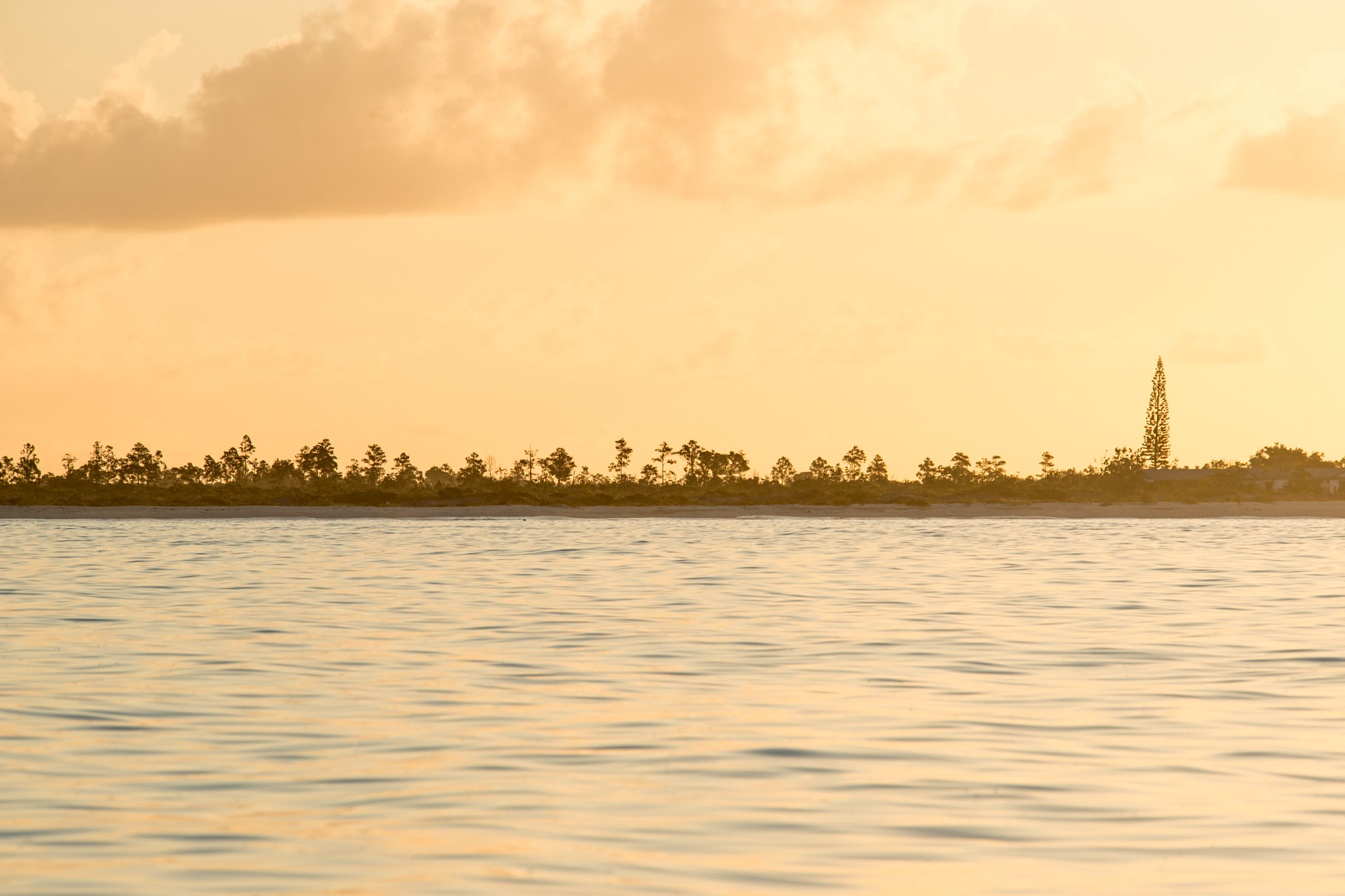 Pine Cay