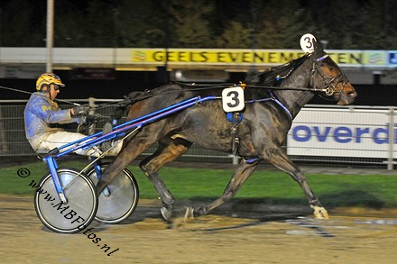 Koers 5-Continental Lane1.jpg