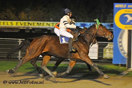 Koers 2-Canavaro Toscana1.jpg
