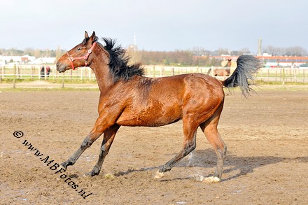 _MBF8092.jpg