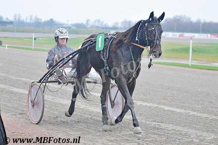 Koers 4. Gails Yankee3.jpg