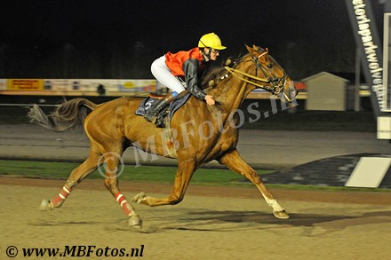 Koers 7. Queiros de Nancras1.jpg