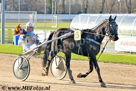 Koers 1. Zilver Sycamore3.jpg