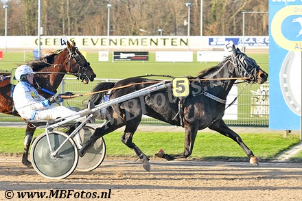 Koers 1. Zilver Sycamore1.jpg