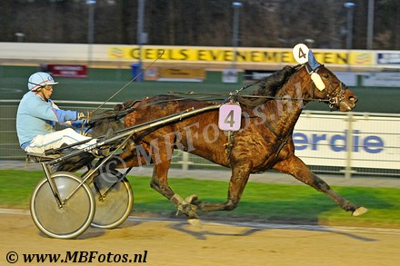 Koers 8. Yuccano Wood1.jpg