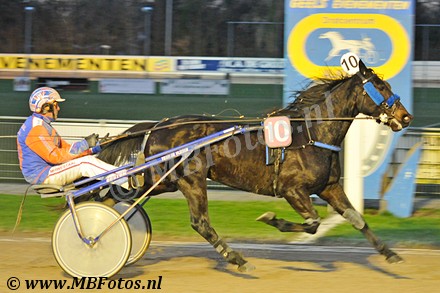 _MBF2012.jpg