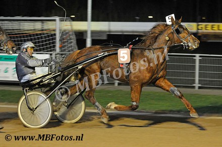 Koers 7. Ambro Gold1.jpg