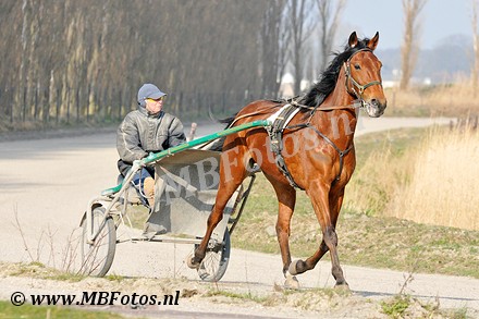 _MBF6006.jpg