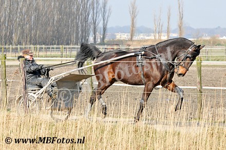 _MBF6097.jpg