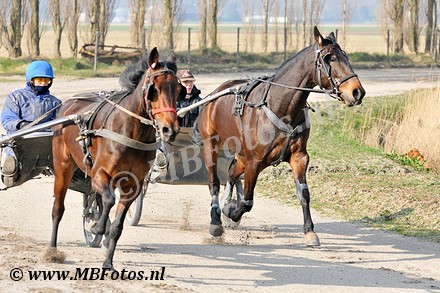 _MBF6120.jpg