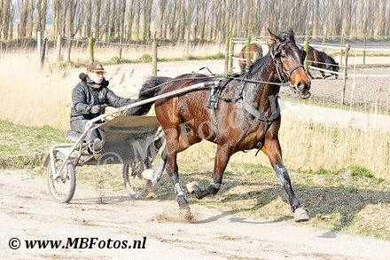 _MBF6172.jpg