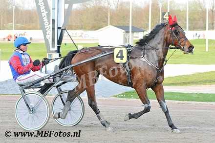 Koers 1. Blossom Energy3.jpg