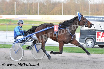Koers 3. Cindy Wielinga1.jpg