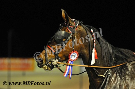 Koers 7. Diamond3.jpg