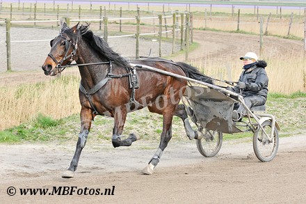 _MBF7709.jpg