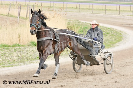 _MBF7870.jpg