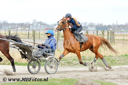 _MBF7961.jpg