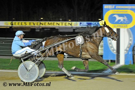 Koers 6. Yuccano Wood1.jpg