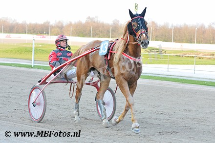 Koers 2. Valet dAs4.jpg