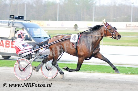 Koers 5. Regio1.jpg