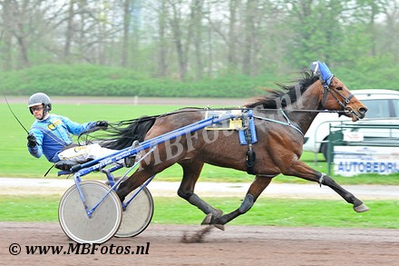 Koers 6. Alonso Meadow1.jpg