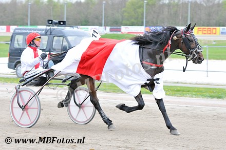 Koers 1. Tims Pile6.jpg