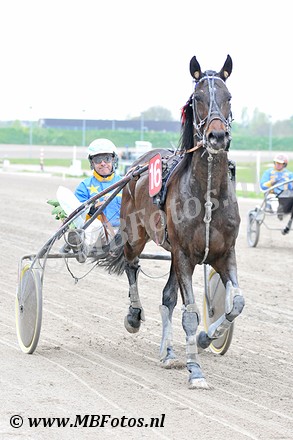 Koers 3. Suncy of Carless3.jpg