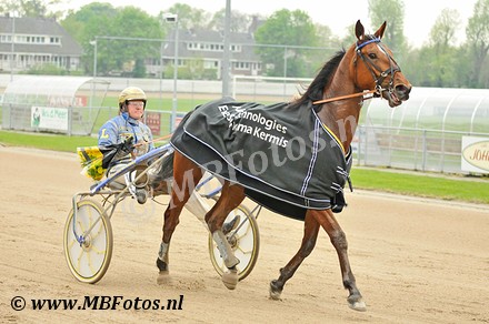 Koers 2. Explosive Shadow3.jpg