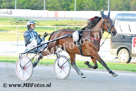 Koers 6. Regina dei Rex1.jpg