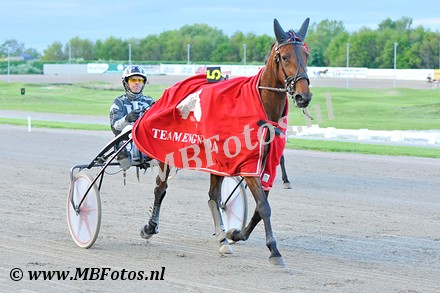 Koers 6. Regina dei Rex3.jpg