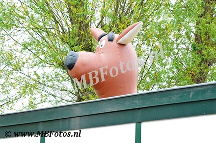 _MBF6777.jpg