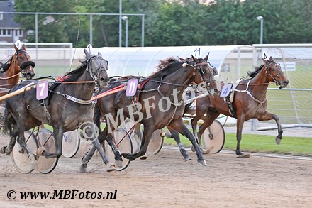 Koers 8. Zilver Sycamore1.jpg