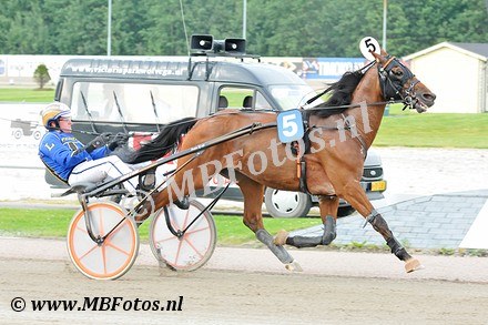 Koers 2- Top Of The Charm1.jpg