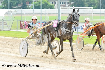 Koers 8 - Zilver Sycamore3.jpg