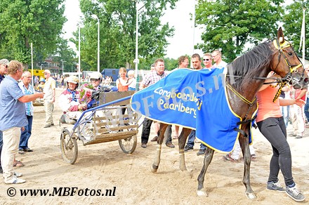 Gelegenheidskoers - Cleopatra4.jpg
