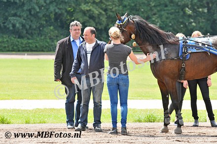 Koers 2. Donate Groenhof2.jpg